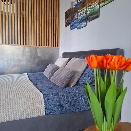 Apartament Gorska Szarotka Nowy Targ Buitenkant foto