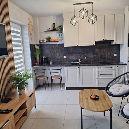 Apartament Gorska Szarotka Nowy Targ Buitenkant foto