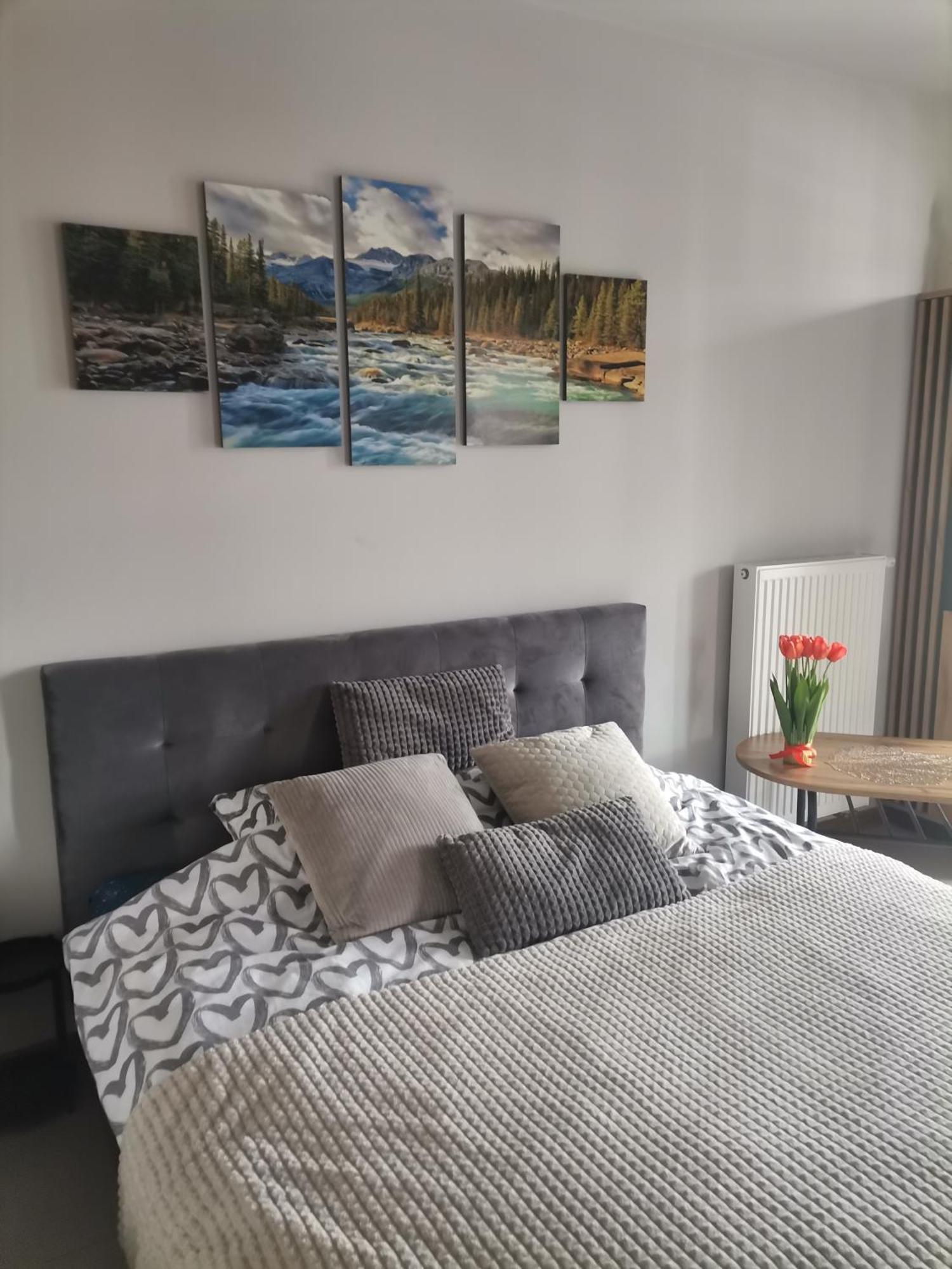 Apartament Gorska Szarotka Nowy Targ Buitenkant foto
