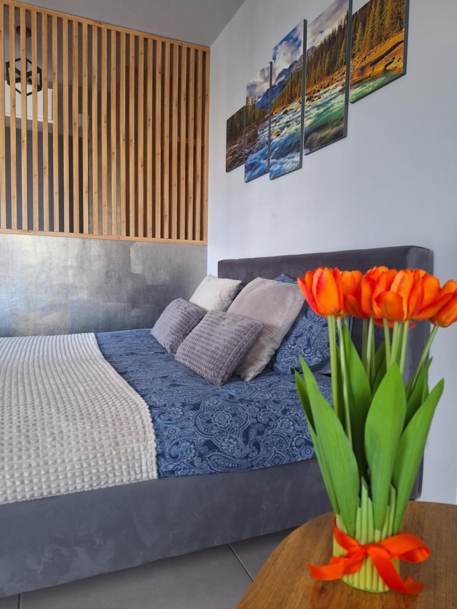 Apartament Gorska Szarotka Nowy Targ Buitenkant foto