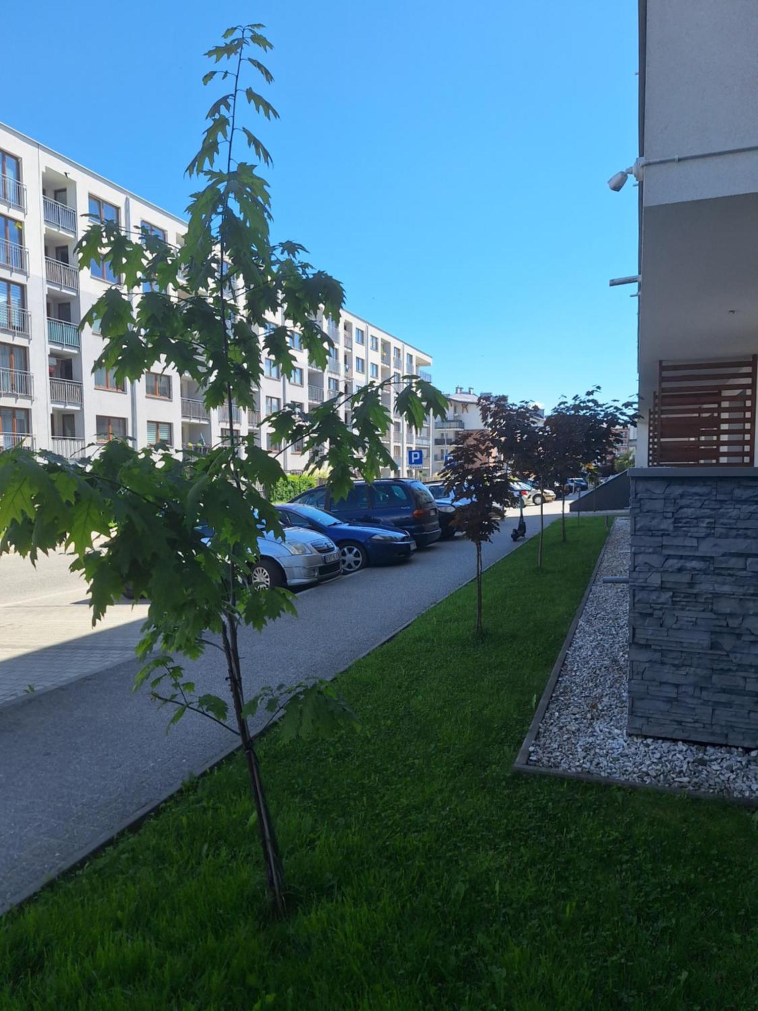 Apartament Gorska Szarotka Nowy Targ Buitenkant foto